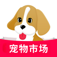 宠物市场 宠物市场
