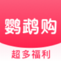鹦鹉购 鹦鹉购