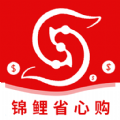 锦鲤省心购 锦鲤省心购