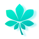 梧桐树TP 梧桐树TP