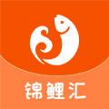 锦鲤汇 锦鲤汇