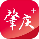 肇庆+ 肇庆+