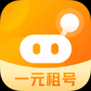 淘号猪 淘号猪