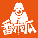 番木瓜 番木瓜