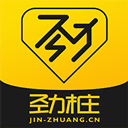 劲桩