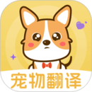 猫语交流 猫语交流
