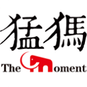 猛犸新闻app 猛犸新闻app