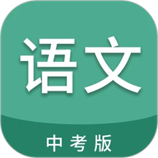 中考语文通 中考语文通