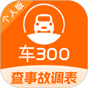 车300二手车