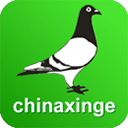 中国信鸽信息网 中国信鸽信息网