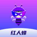 红人蜂 红人蜂