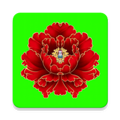 绿植花卉