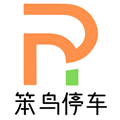 笨鸟停车 笨鸟停车
