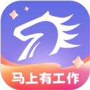 百城招聘 百城招聘