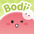 Bodii Bodii