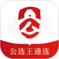 公选王教育