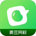 青豆网校 青豆网校