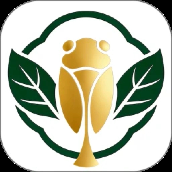 金蝉树