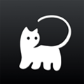 拦截猫 拦截猫