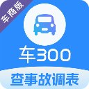 车300专业版 车300专业版