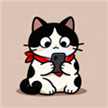 猫番乐园 猫番乐园