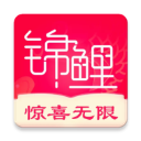 锦鲤购下载安装 锦鲤购下载安装