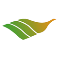 启点虎林