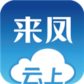云上来凤最新版本