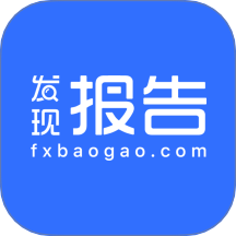 发现报告