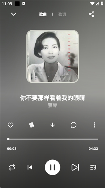 叶子音乐 叶子音乐
