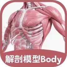 解剖模型Body 解剖模型Body